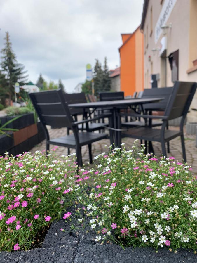 DIVINO Pension Apartment Lutzen Bagian luar foto